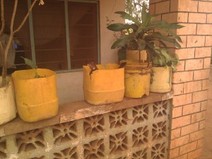 on trouve de tout dans un bac à fleur!