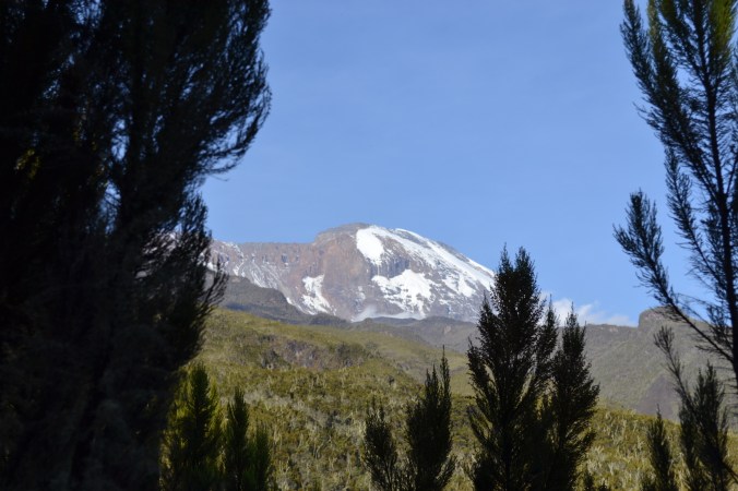 le profil du monstre