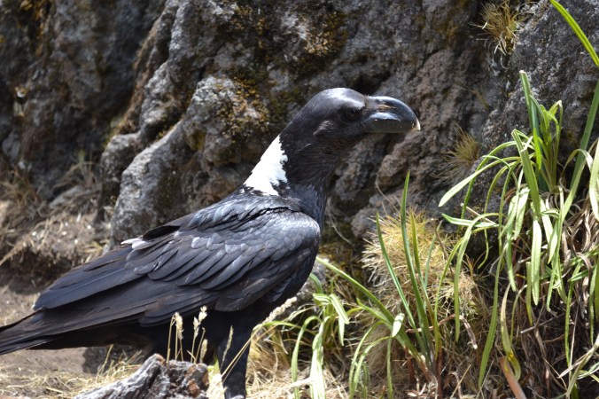 Un regard inquisiteur