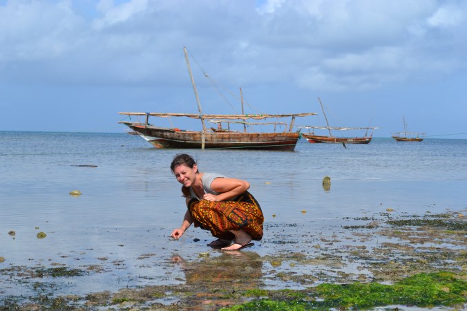 observer les bêbêtes, une passion...